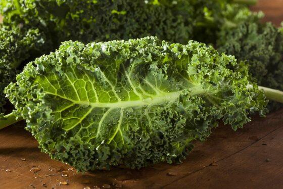 couve kale.jpeg